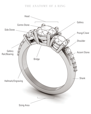 Anatomy of a Ring