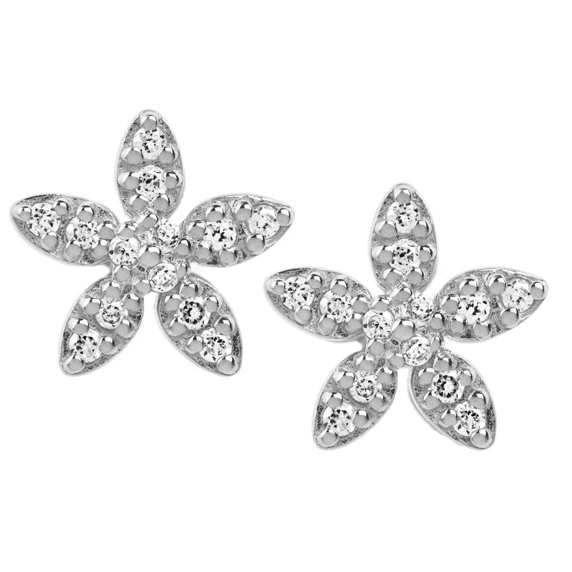 forget-me-not sparkles silver