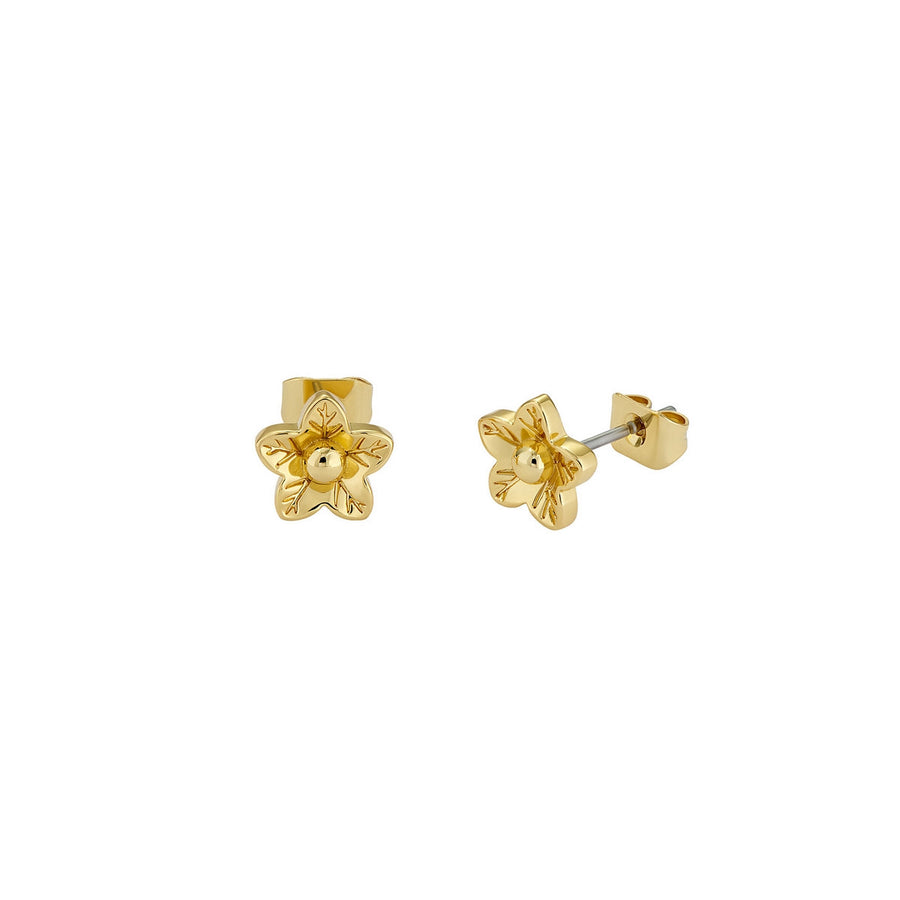 ted baker wildie: tiny flower stud earrings gold tone
