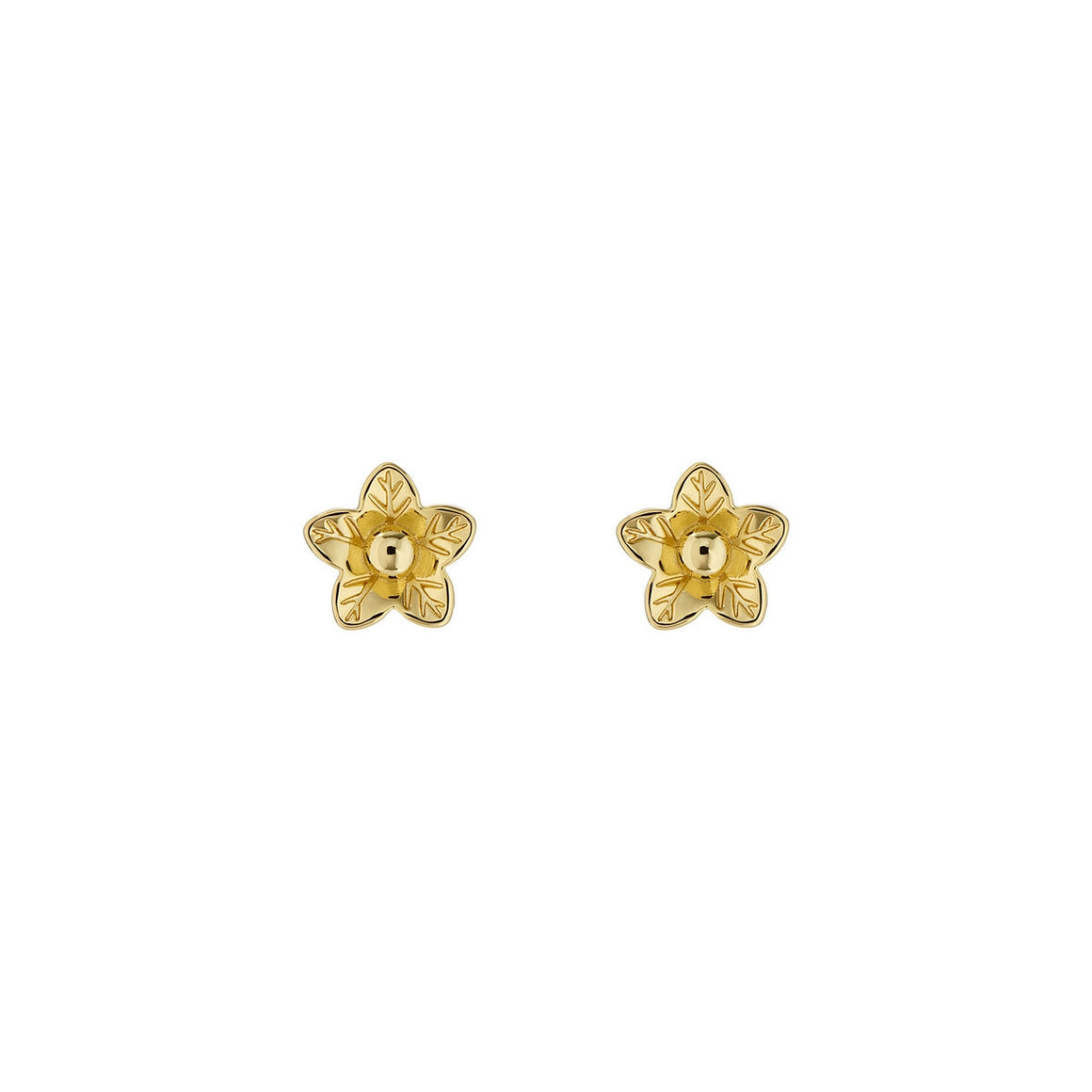 ted baker wildie: tiny flower stud earrings gold tone