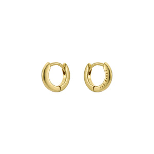 ted baker crisete: logo hoop earrings (10mm) gold tone