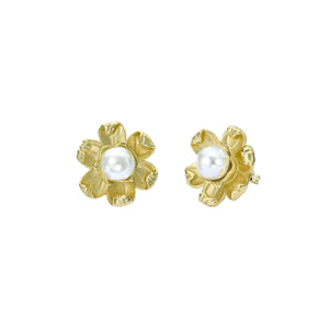 ted baker dara: daisy pearl gold tone stud earrings