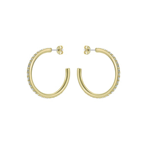 ted baker clanci: medium crystal gold tone hoop earrings